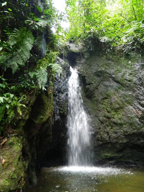 Sierra Morena Hotel Filandia Luaran gambar