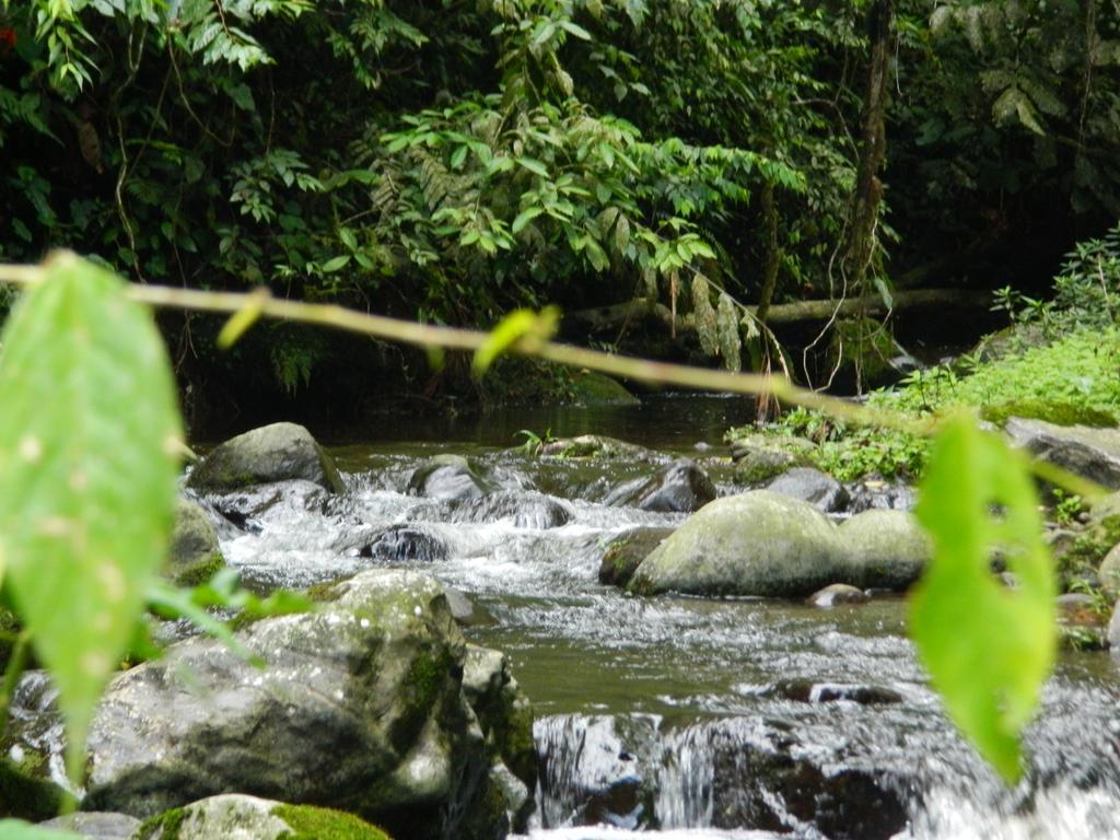 Sierra Morena Hotel Filandia Luaran gambar