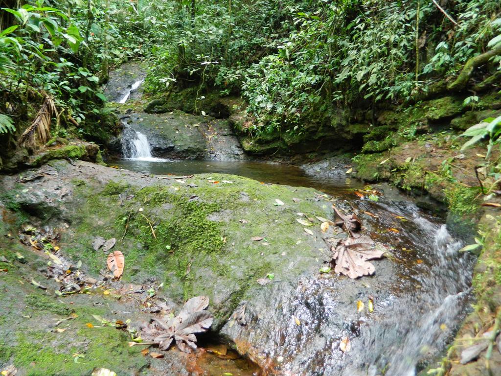 Sierra Morena Hotel Filandia Luaran gambar
